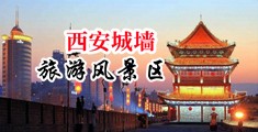 扒开风骚气质大长腿眼镜家教老师猛的插进去中国陕西-西安城墙旅游风景区