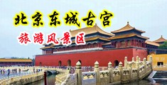 丝袜熟女咪咪爱中国北京-东城古宫旅游风景区
